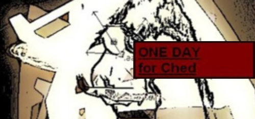 One Day For Ched PC