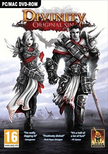 Divinity Original Sin PC