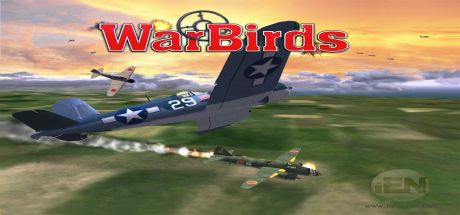 WarBirds  World War II Combat Aviation PC
