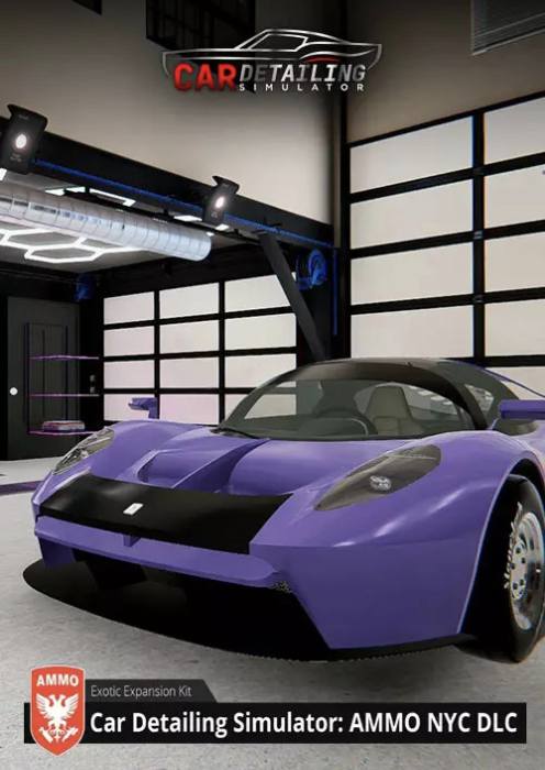 Car Detailing Simulator - AMMO NYC PC - DLC