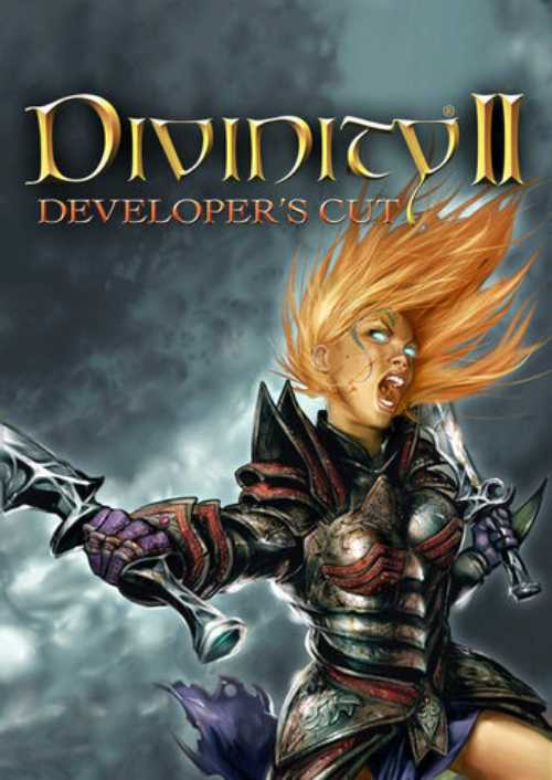 Divinity II: Developer's Cut PC
