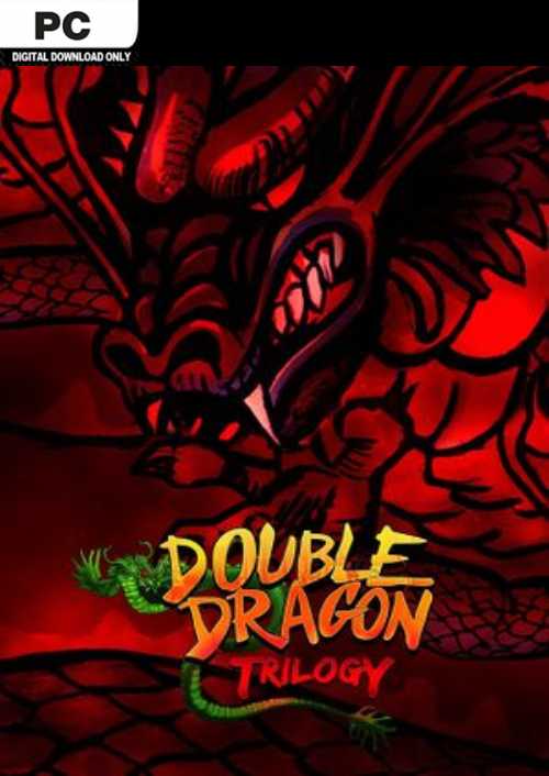 Double Dragon Trilogy PC