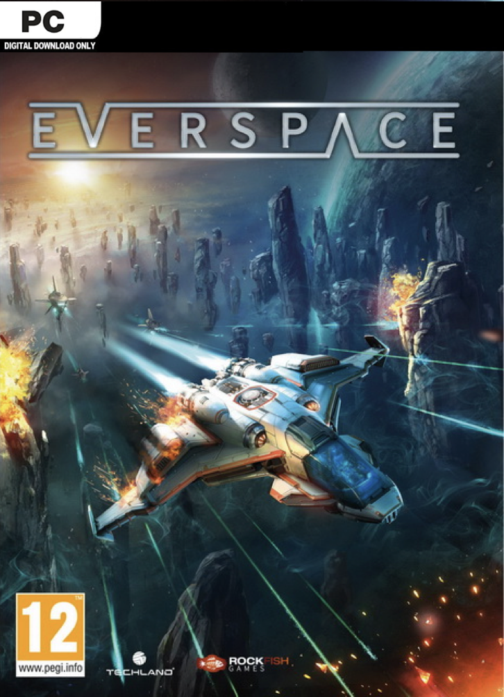 Everspace PC