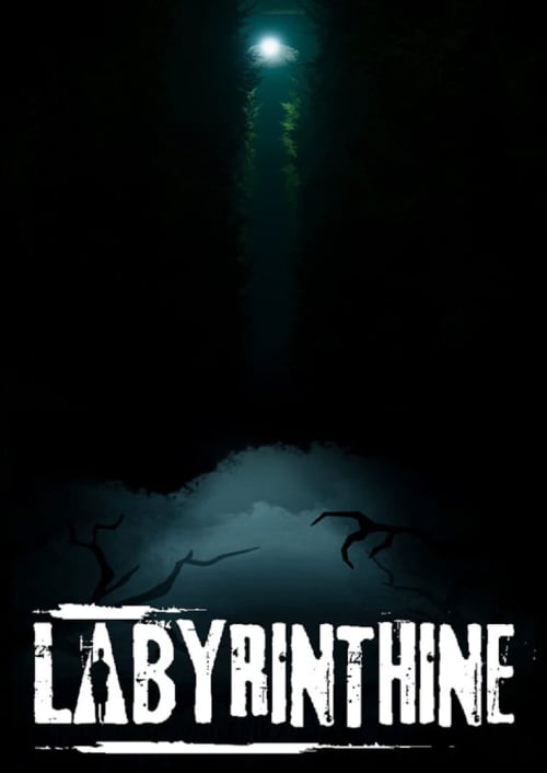Labyrinthine PC