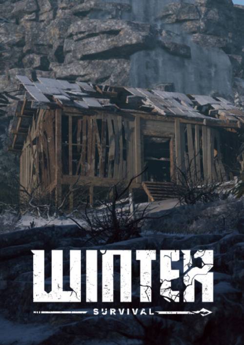 Winter Survival PC