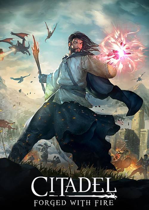 Citadel: Forged with Fire PC