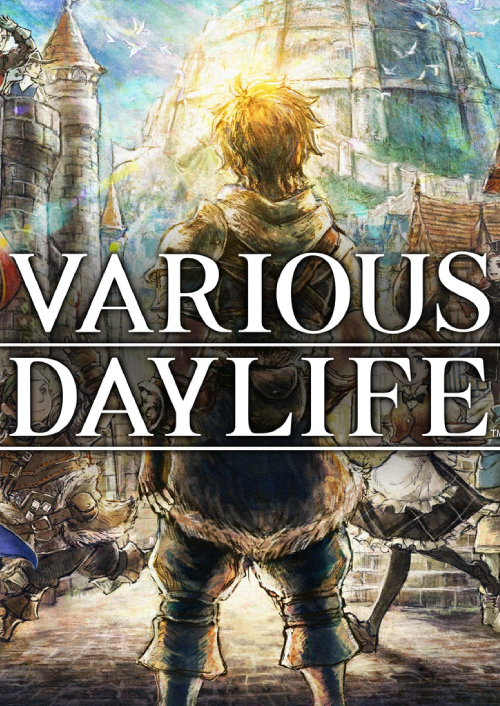 VARIOUS DAYLIFE PC