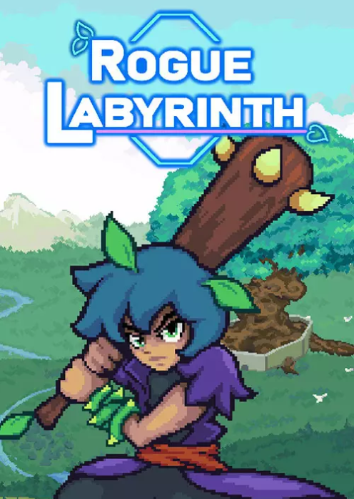 Rogue Labyrinth PC