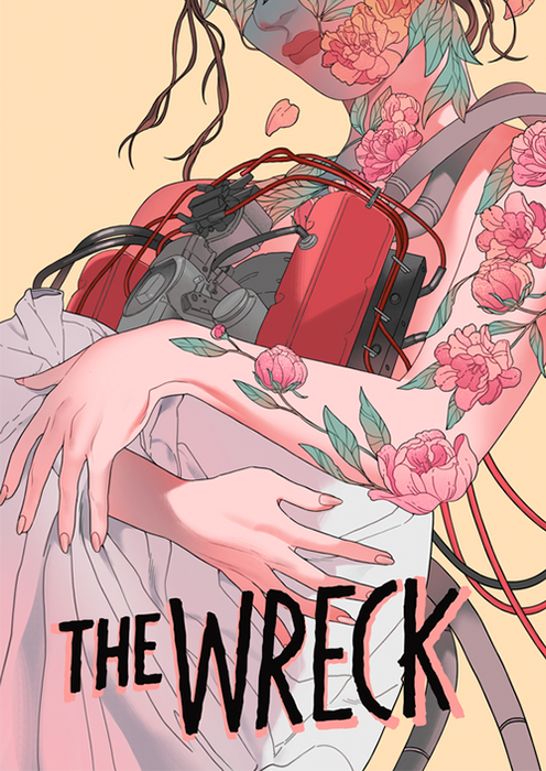 The Wreck PC (North America)