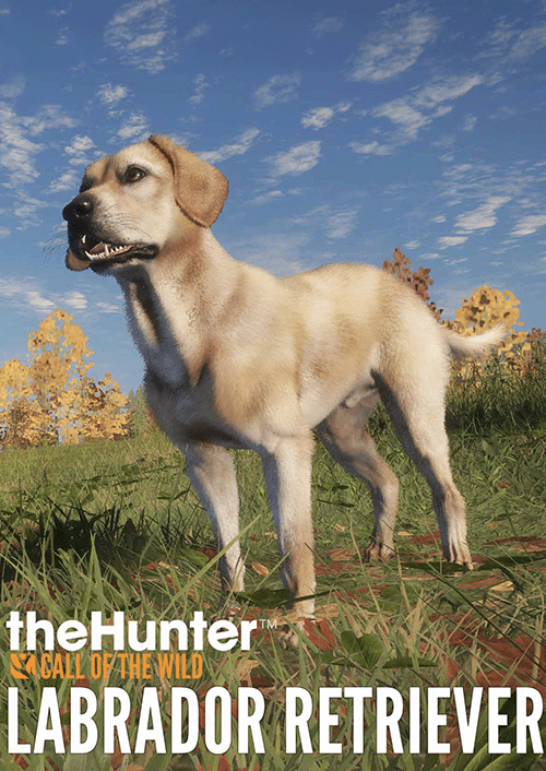 theHunter: Call of the Wild – Labrador Retriever PC - DLC